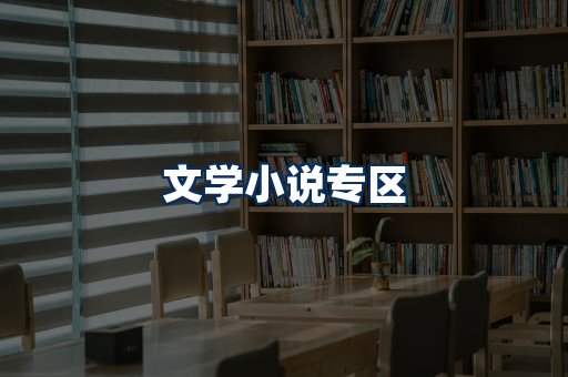 文学小说PDF展示